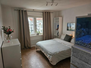 Central Room with Private Entrance and Ensuite Bathroom in Stockholm